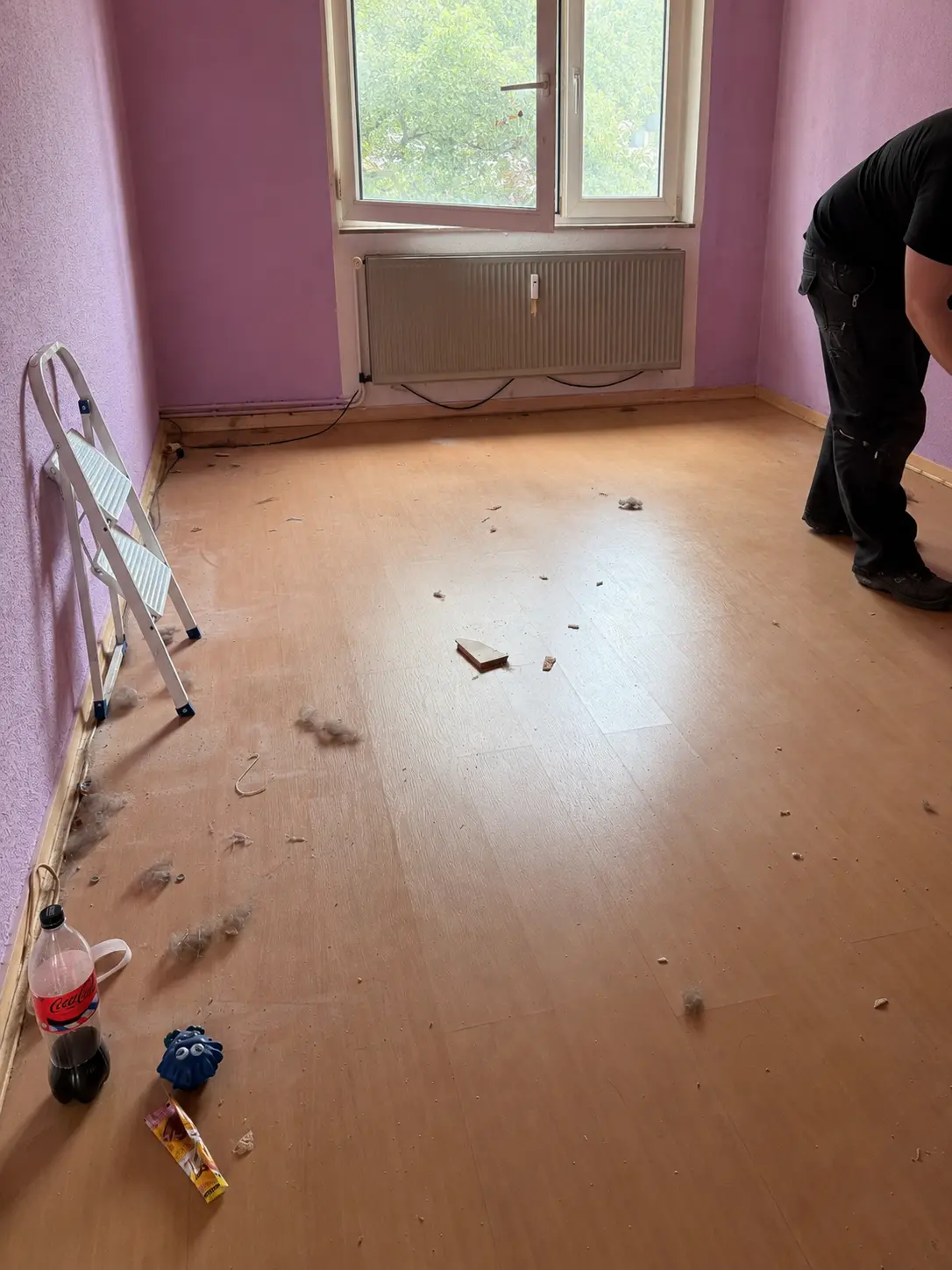 Reinigungsarbeiten in einem bereits entrümpelten Raum mit Leiter und Mitarbeiter
